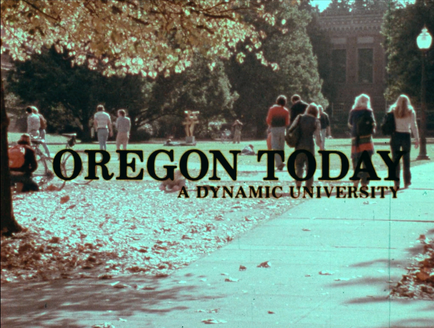 organization banner
