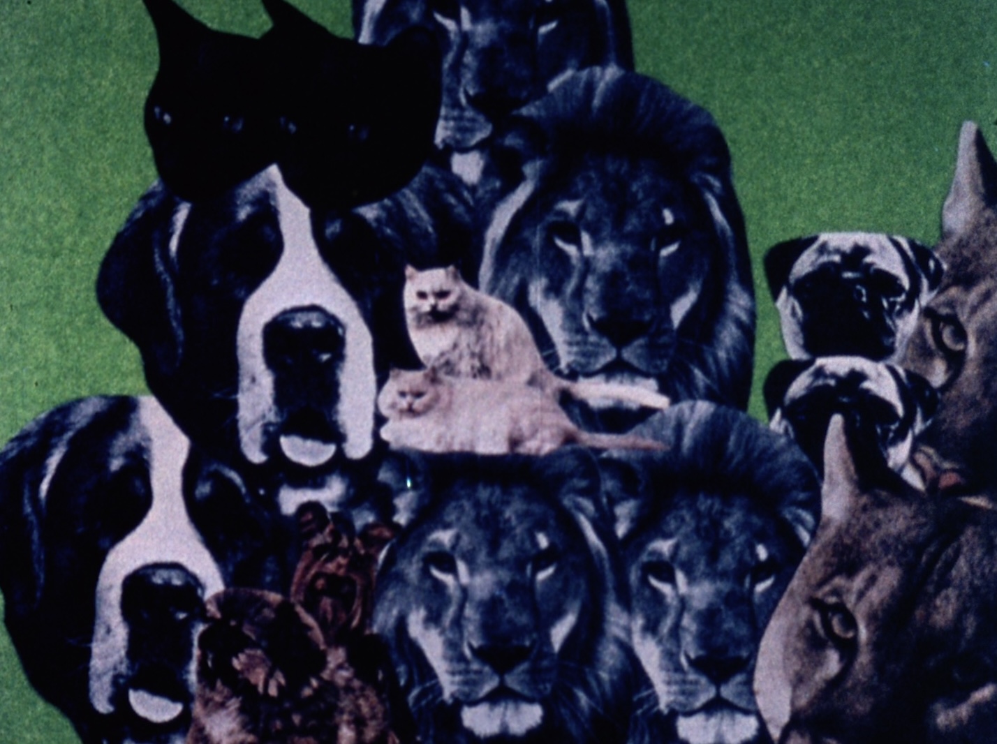 organization banner