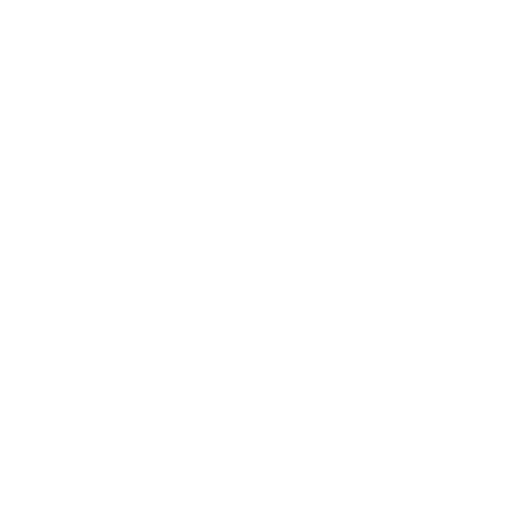 National Public Housing Museum Footer Logo